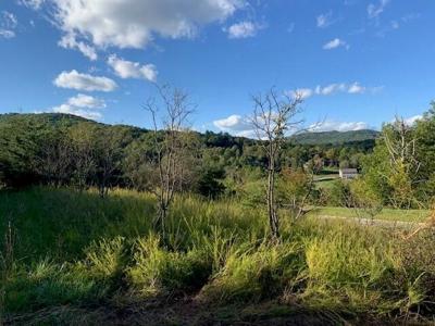 7409 Old Mill Plantation DR