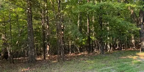 Lot 22 Woodshire DR