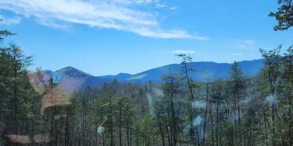 Lot 8 Reese Mountain RD