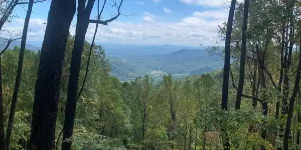 Lot #NA Slings Gap RD
