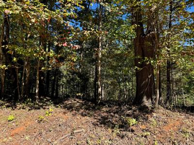 Lot 3 Narrows RD