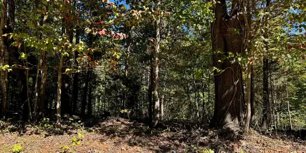 Lot 3 Narrows RD