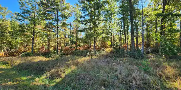 Lot 102 Black Diamond RD