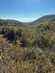 Shooting Creek RD
