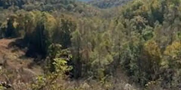 Shooting Creek RD