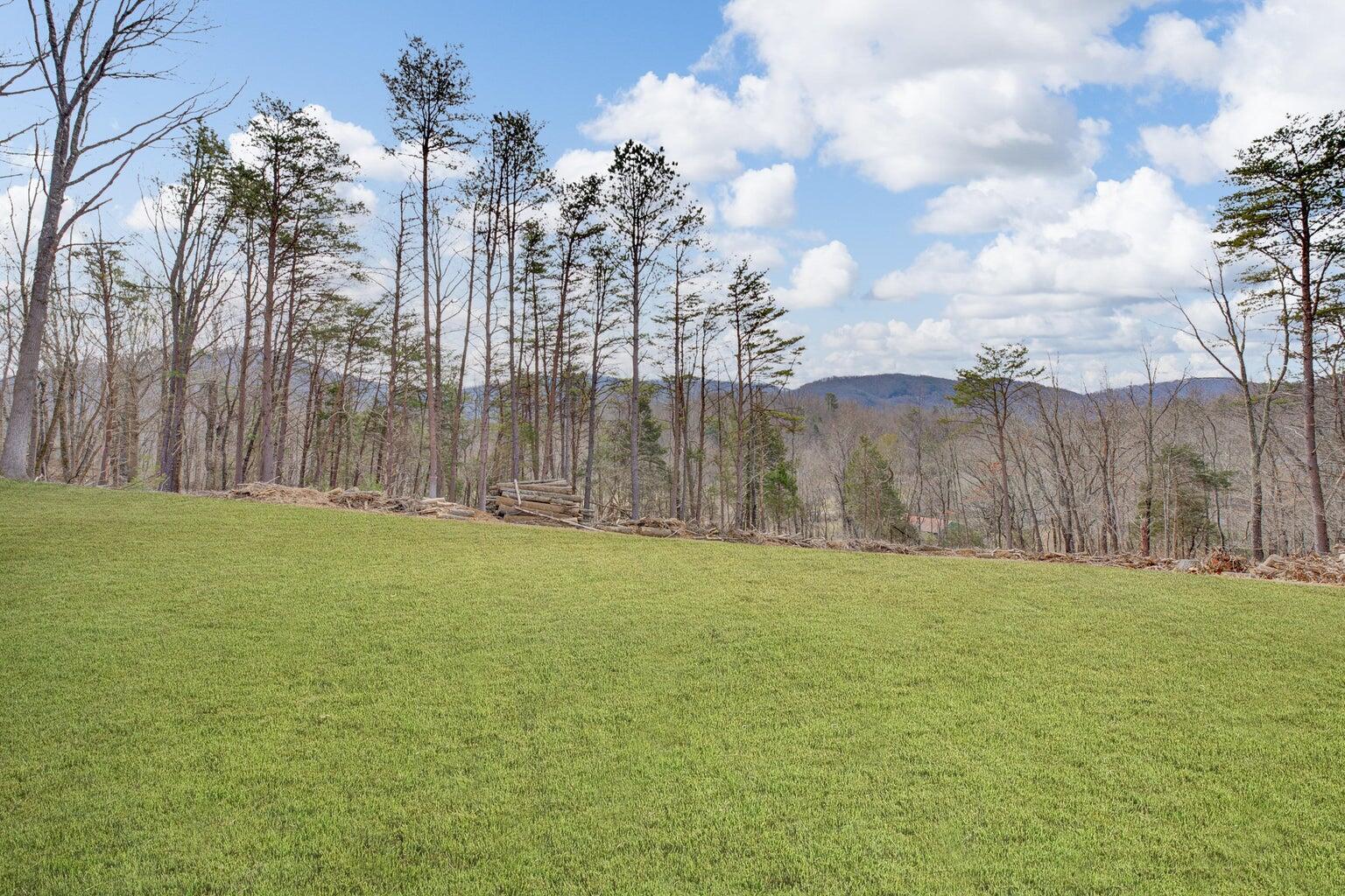 Image 3: 6427 Bent Mtn 1