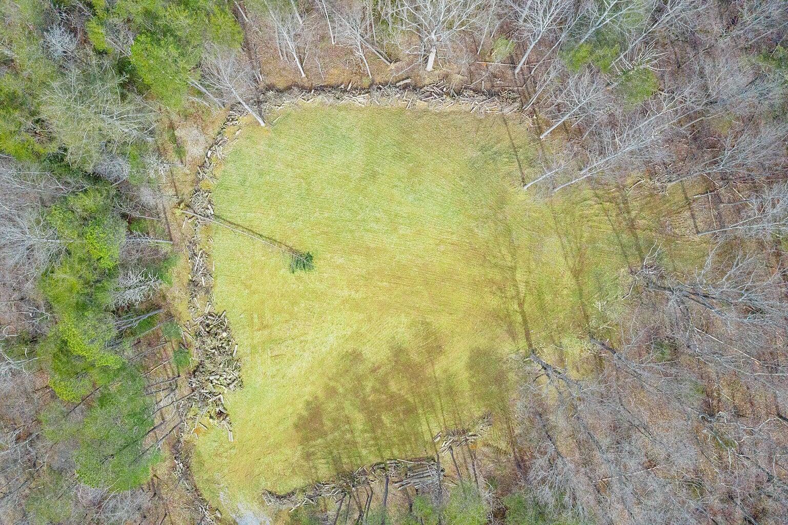 Image 4: 6427 Bent Mtn 3