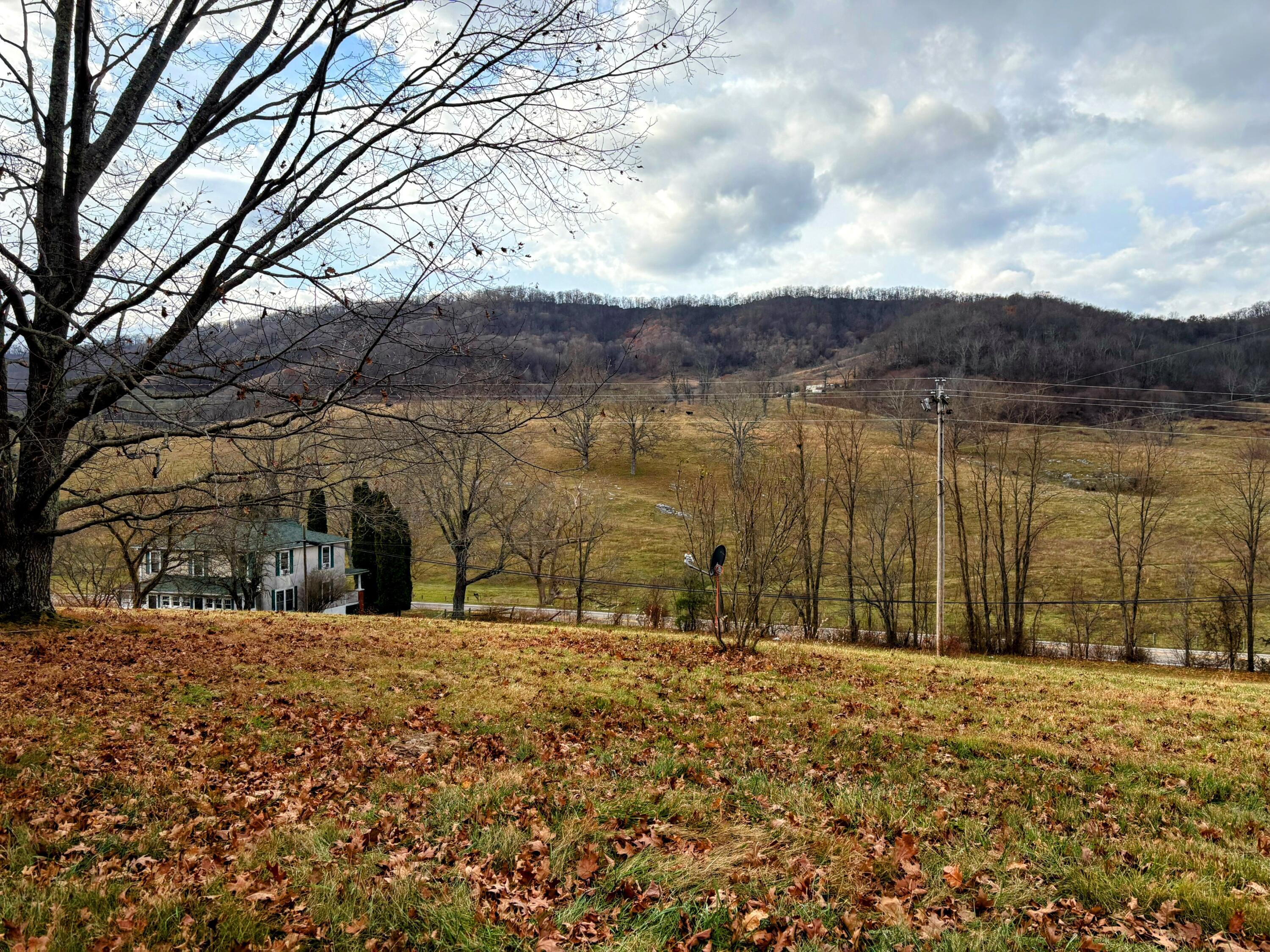 Image 3: IMG_3284