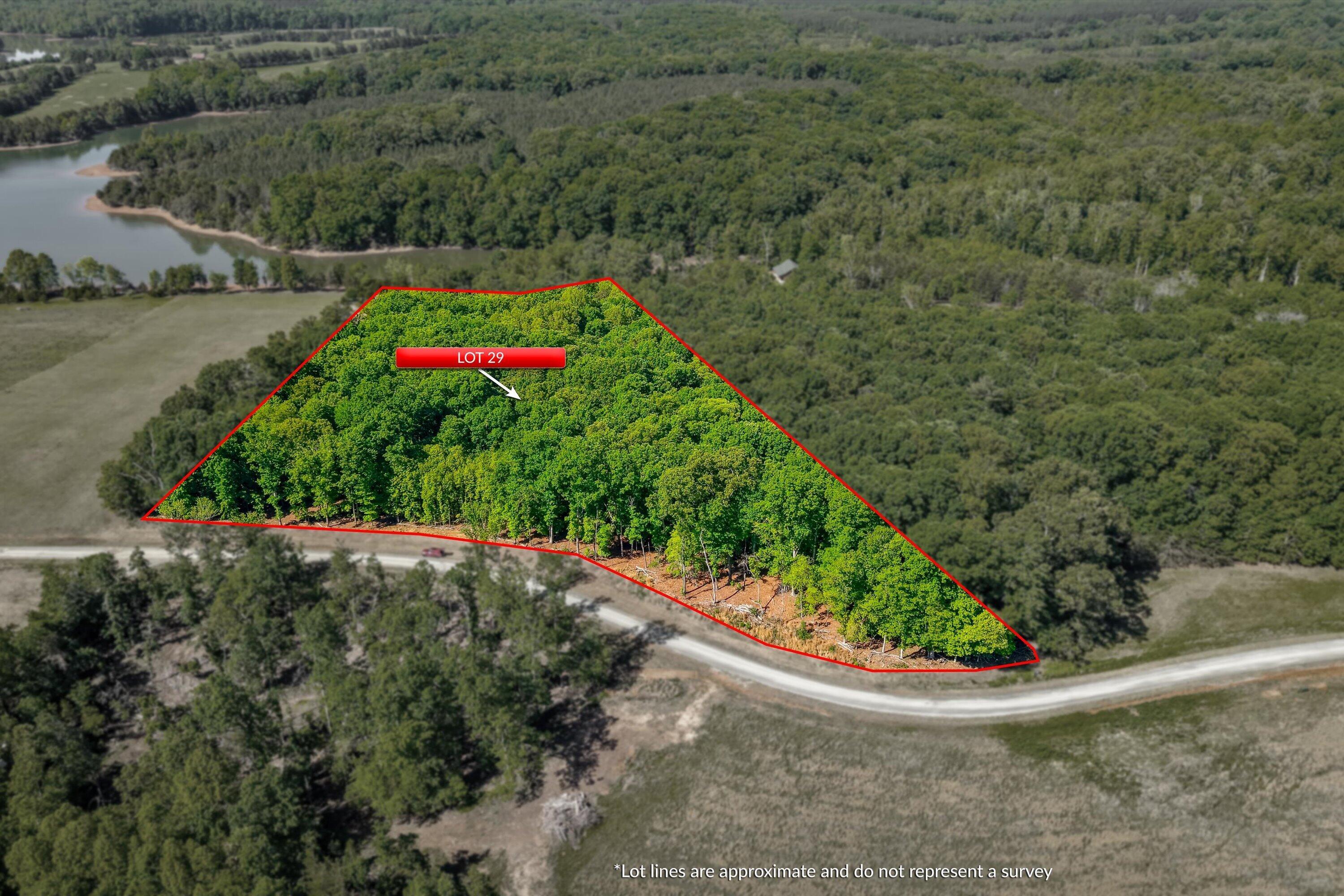 Image 1: 01-LOT 29-1