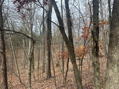 Lot 11 Stonebridge DR