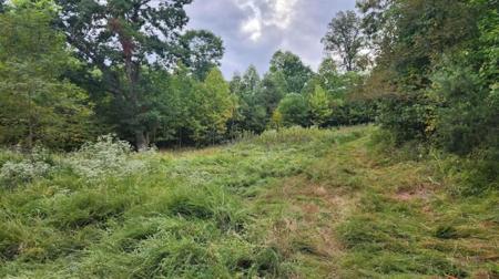 Lot #TR 2-A & TR 2-B Mountain View Church RD