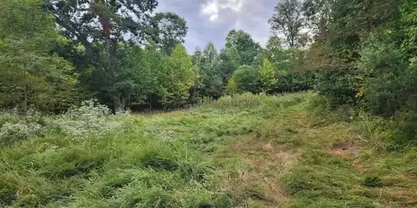 Lot #TR 2-A & TR 2-B Mountain View Church RD