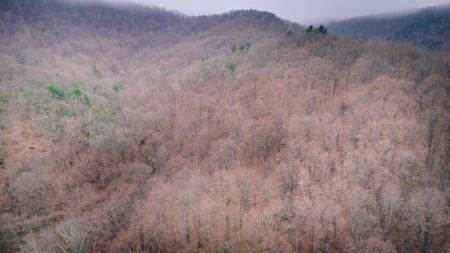 Lot #na Martins Creek Rd RD