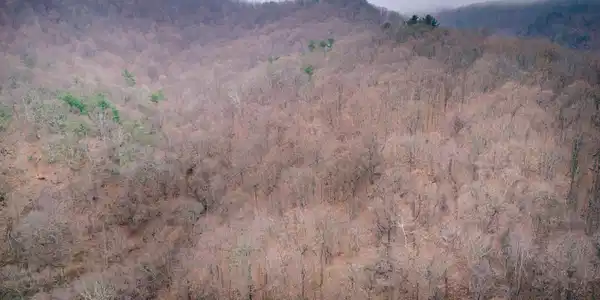 Lot #na Martins Creek Rd RD