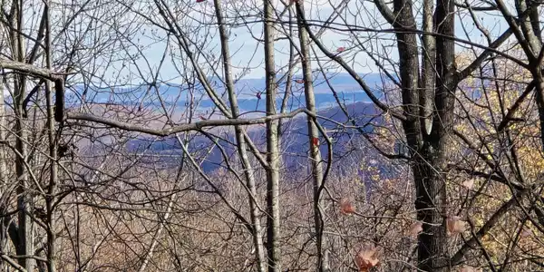 Taylor Mountain RD