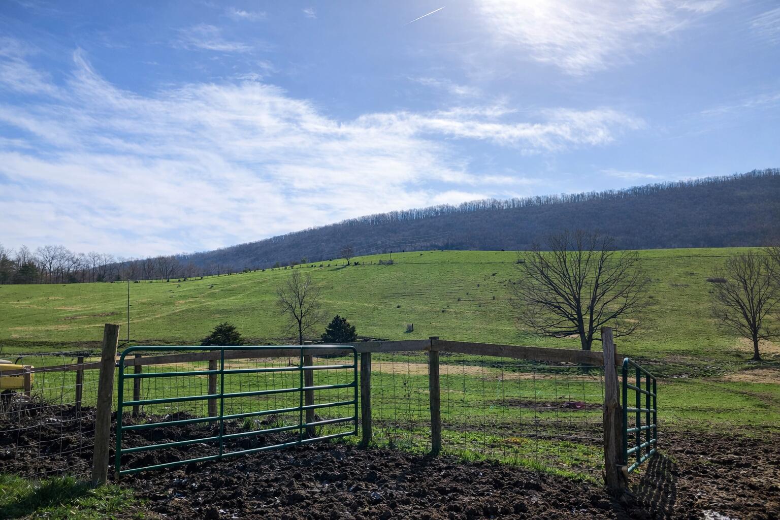 Image 2: fb9ab344-6382-47d6-98f0-7a250f88bad3