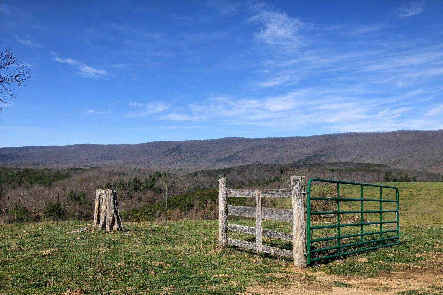 Image 3: 30cc5ffd-2752-40d5-9dc5-486761a6babc