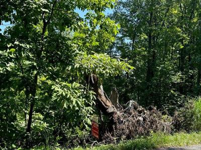 Lot #21B Tract 21B Wooldridge RD