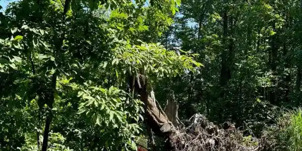 Lot #21B Tract 21B Wooldridge RD