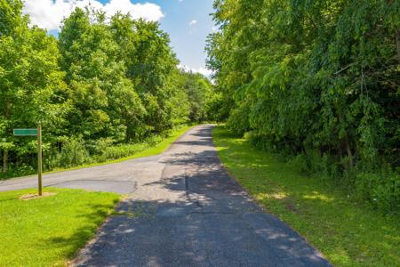 Lot #4,5 Panorama View DR