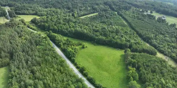 Jacks Creek RD