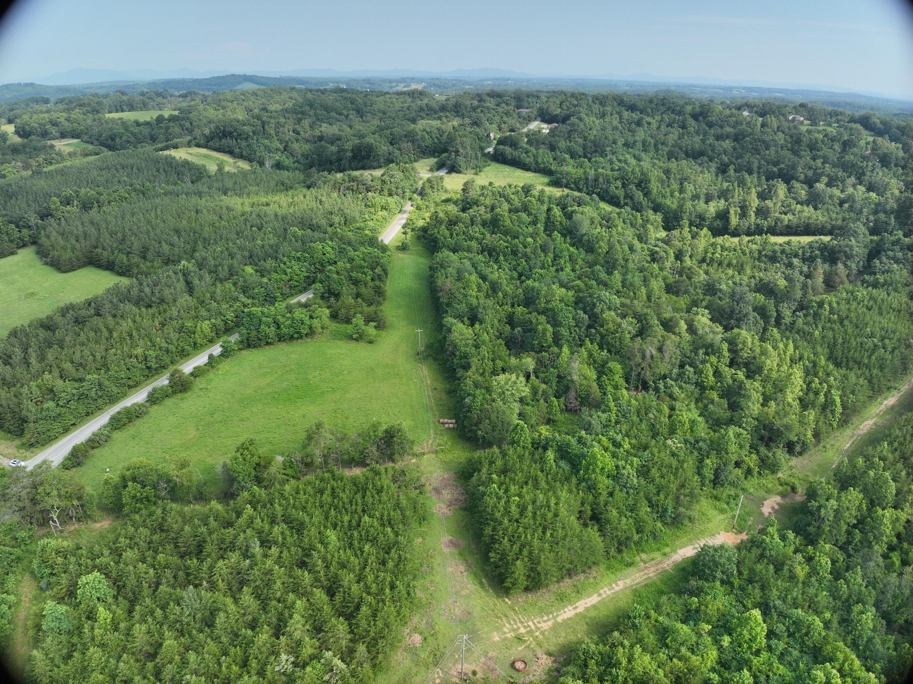 Image 4: DJI_20250709143512_0004_V