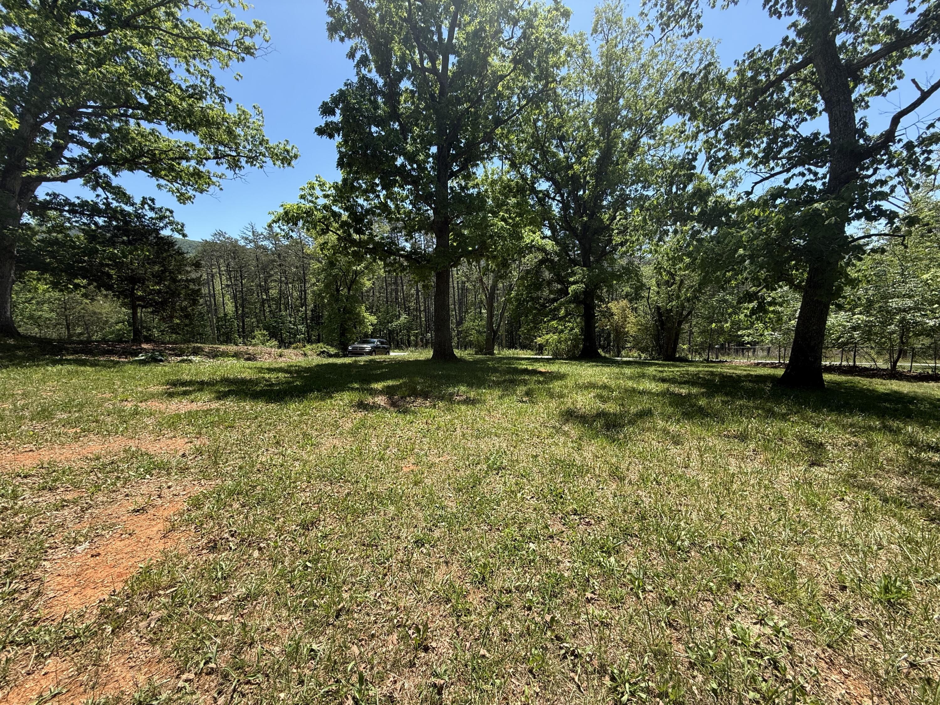 Image 1: Lot