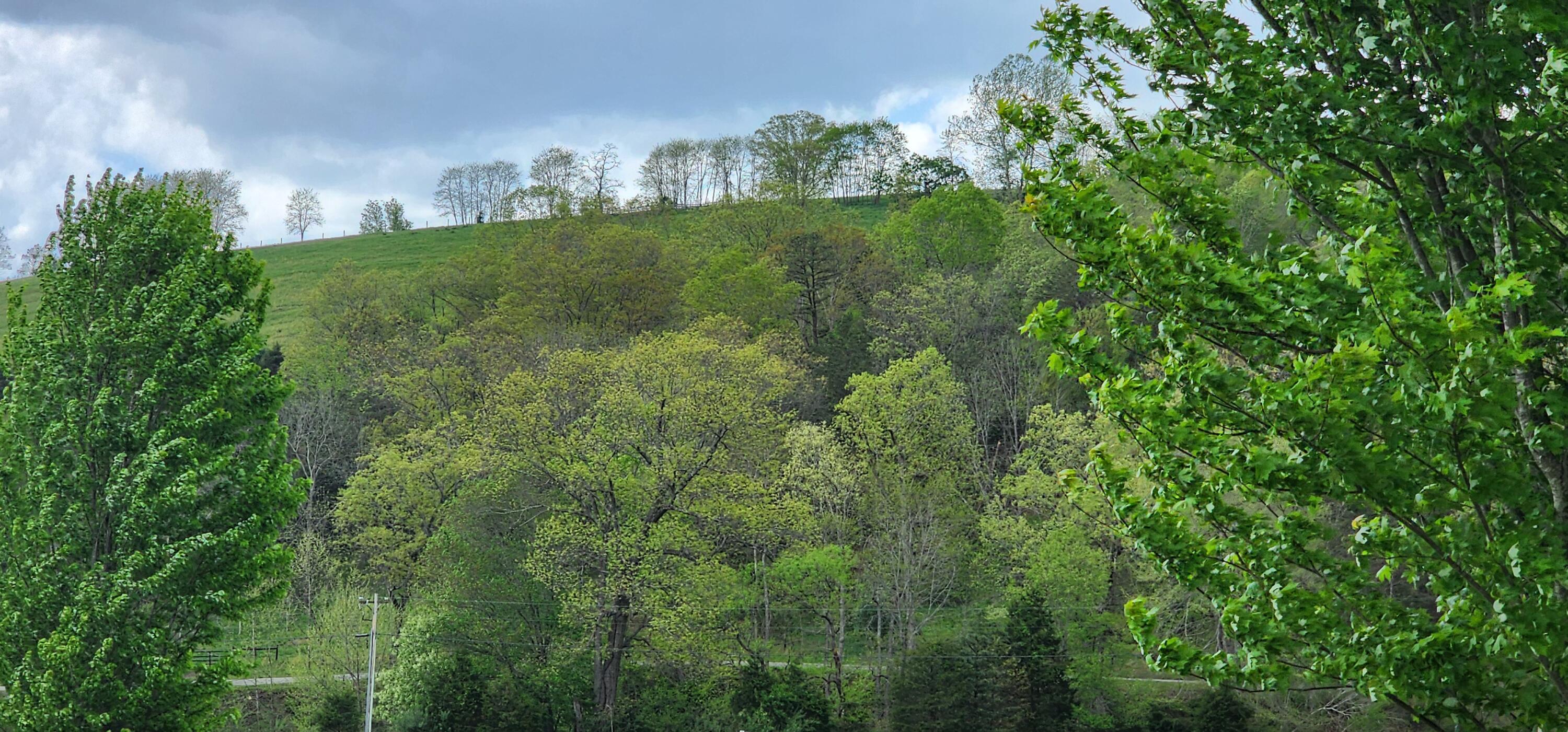 Image 2: 20250502_152238