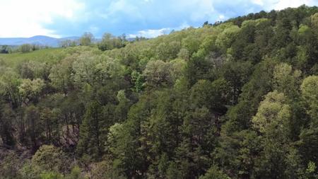 Lot #32 Lot 33 Johns Creek RD