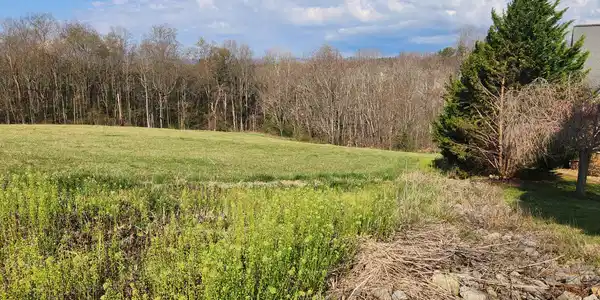 Lot 7 Kyles CT