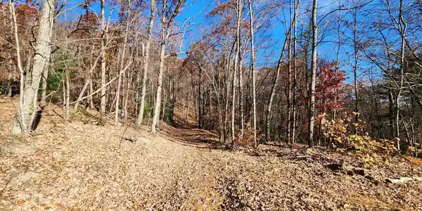 Briar Mountain RD