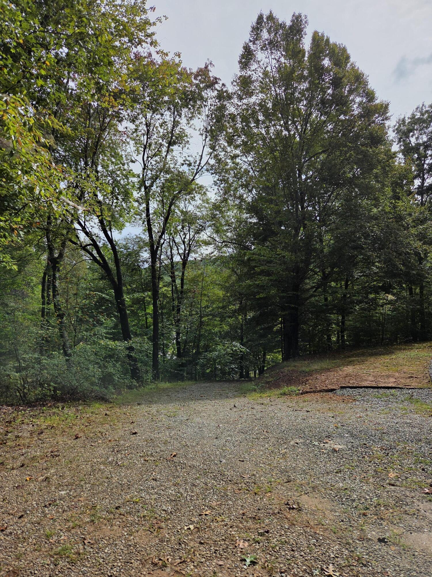 Image 2: 20250930_123934