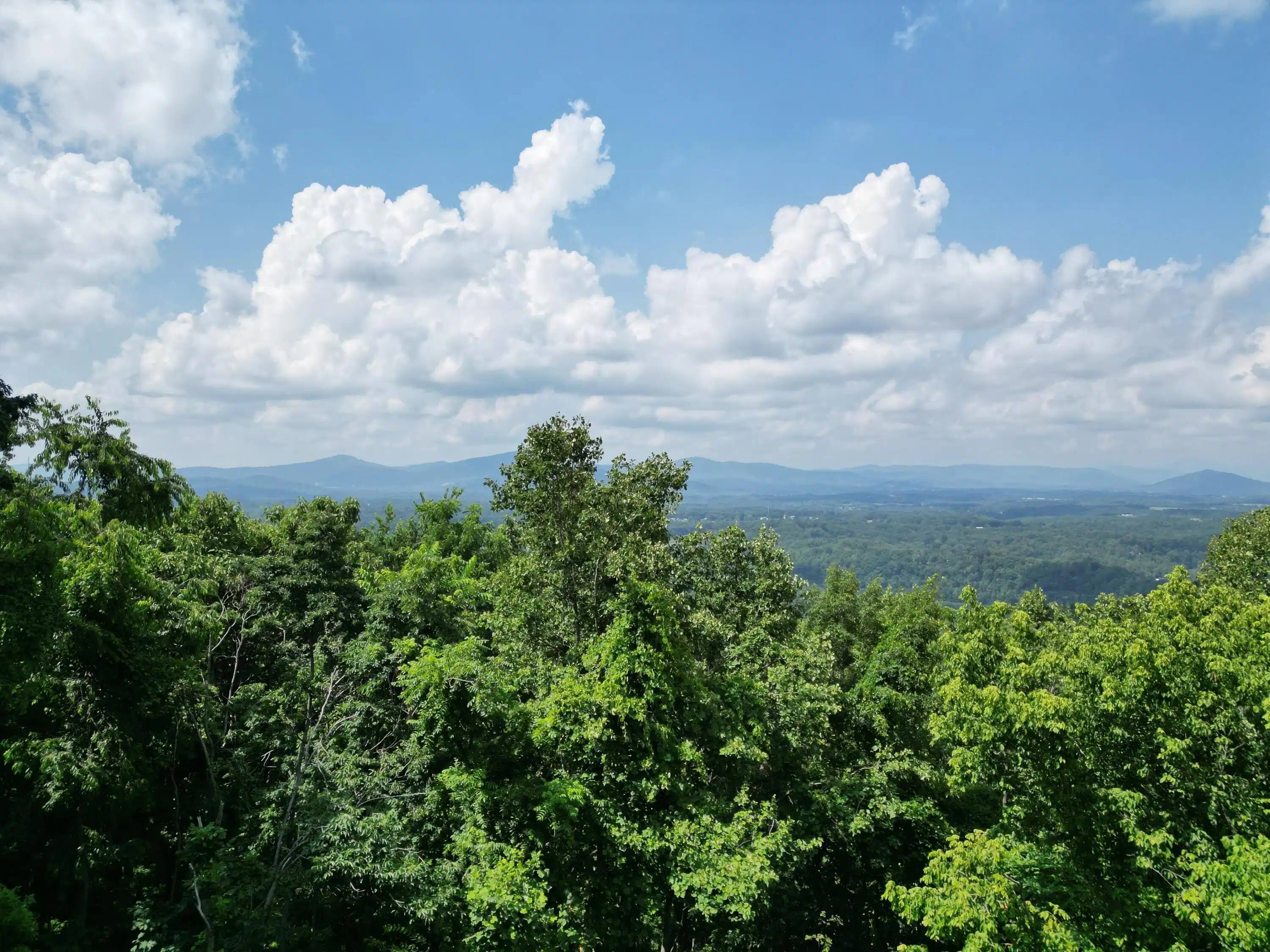 Image 1: Seasonal Mountain Views
