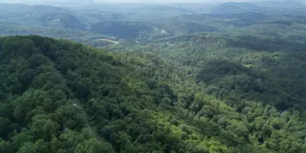 Image 4: Wooded 10.3 Acres