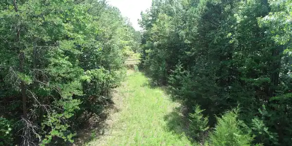 Image 3: Road Through Property