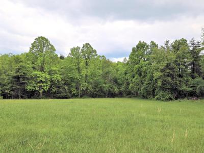 Lot #4 TBD Franklin Pike SE