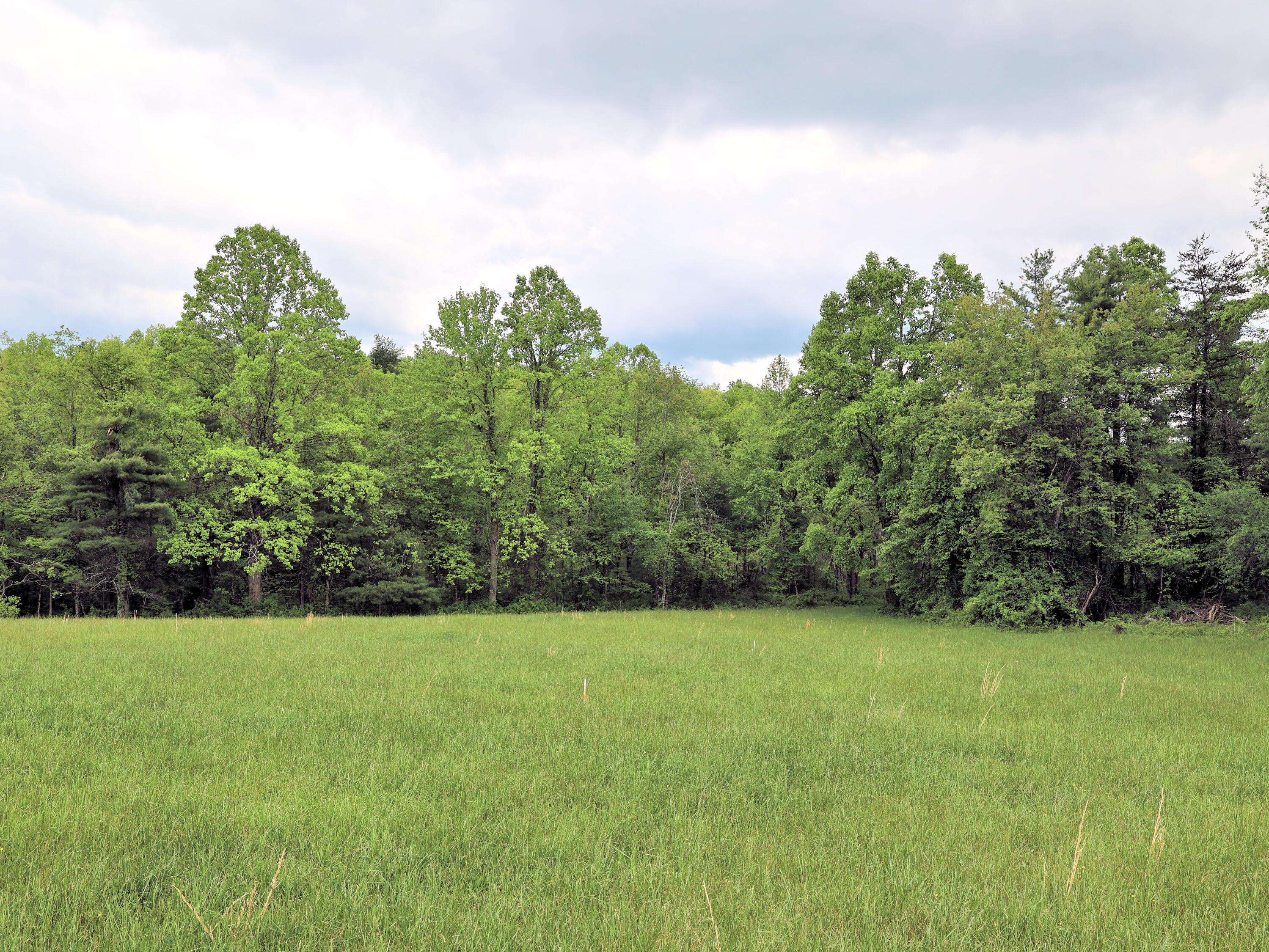Image 1: 2.469 Acre Lot