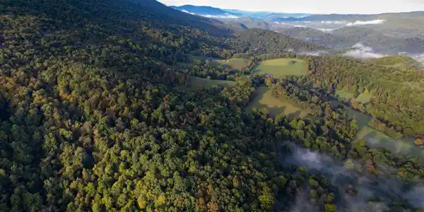 0 Robertson Mountain RD