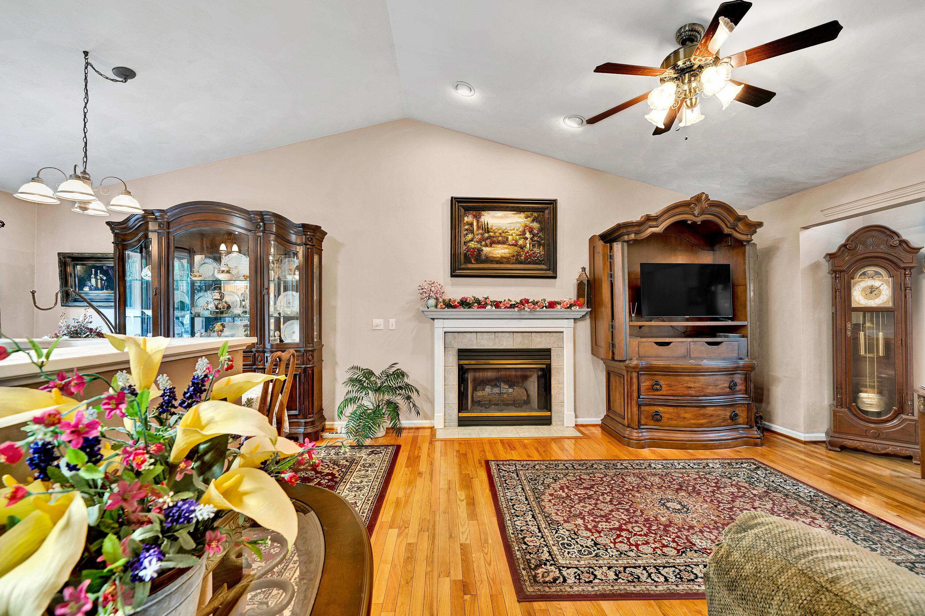 Image 4: Living Room