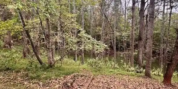 0 Old Mill DR
