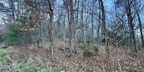 Cumberland Gap RD