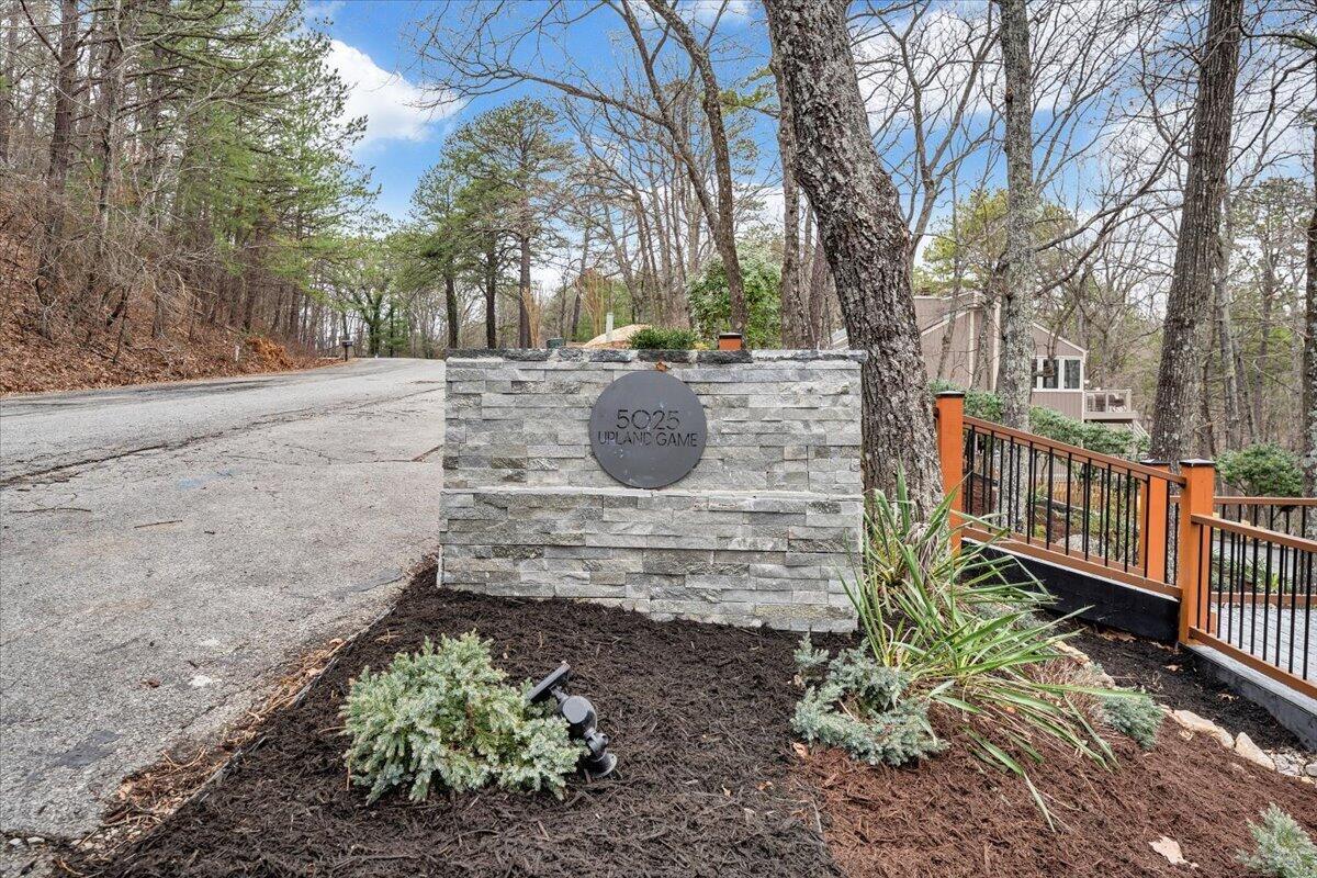 Image 4: 101-MIB06544