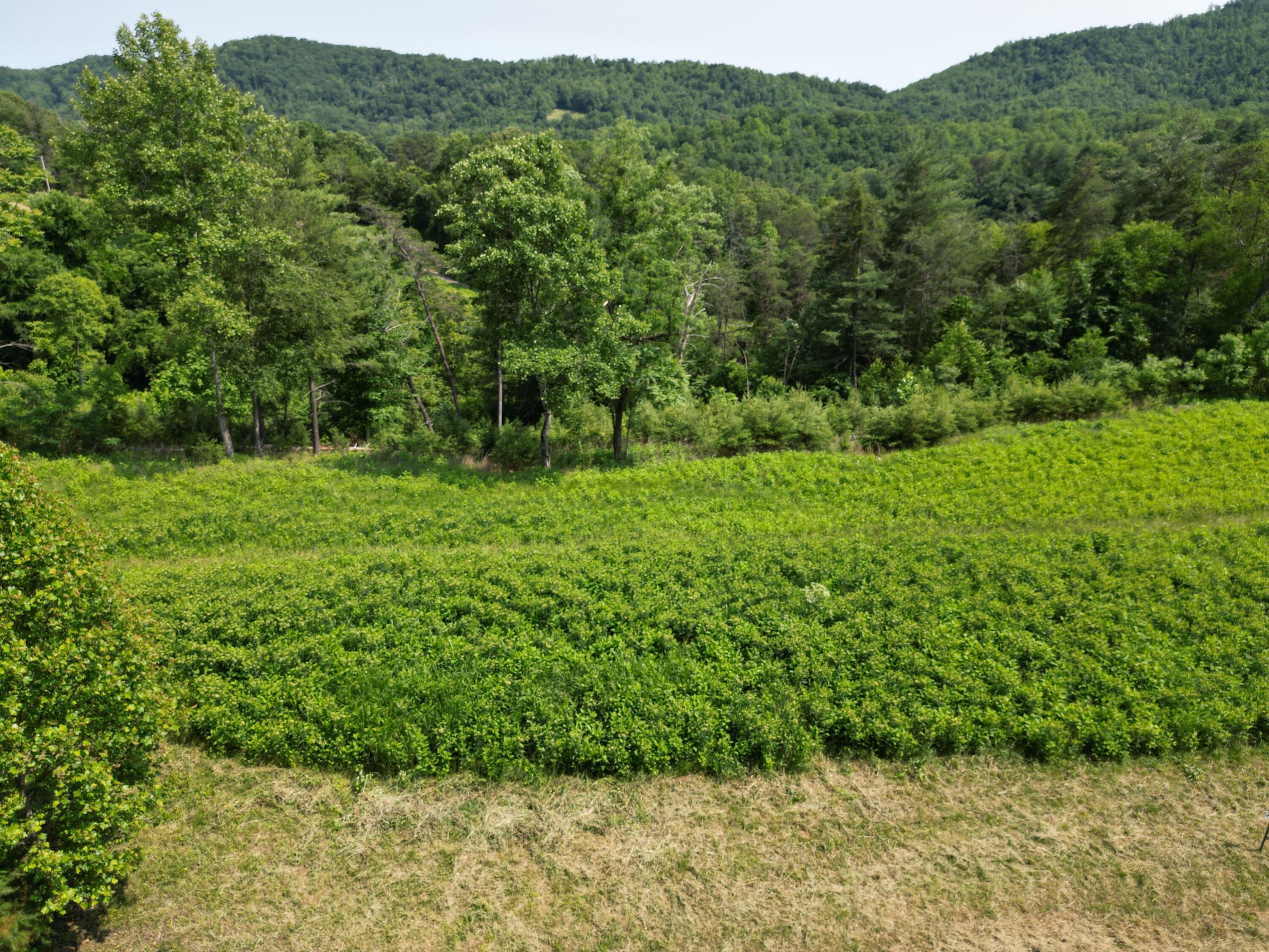 Image 4: DJI_0183