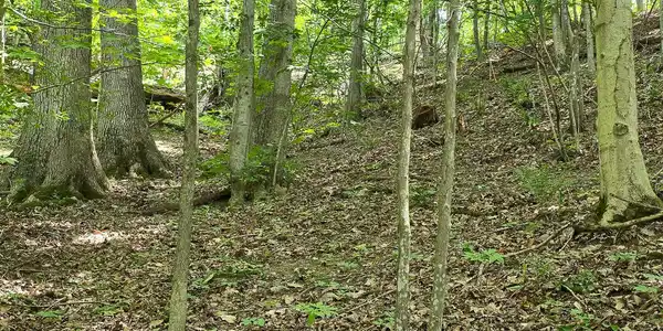 Lot #H Ravens Ridge RD