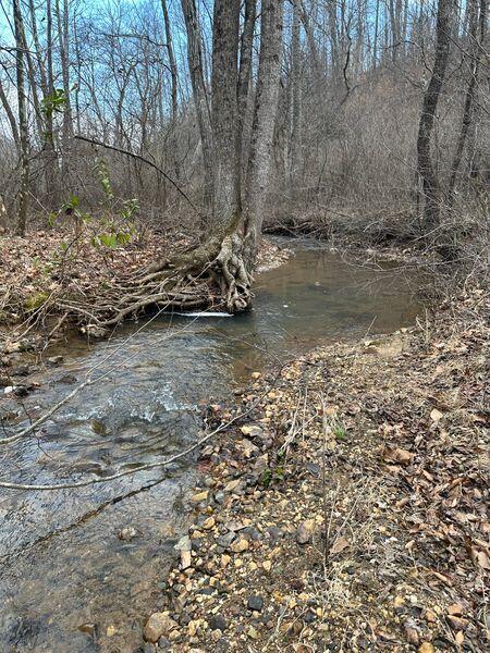 Image 2: Prillaman Switch Creek Picture