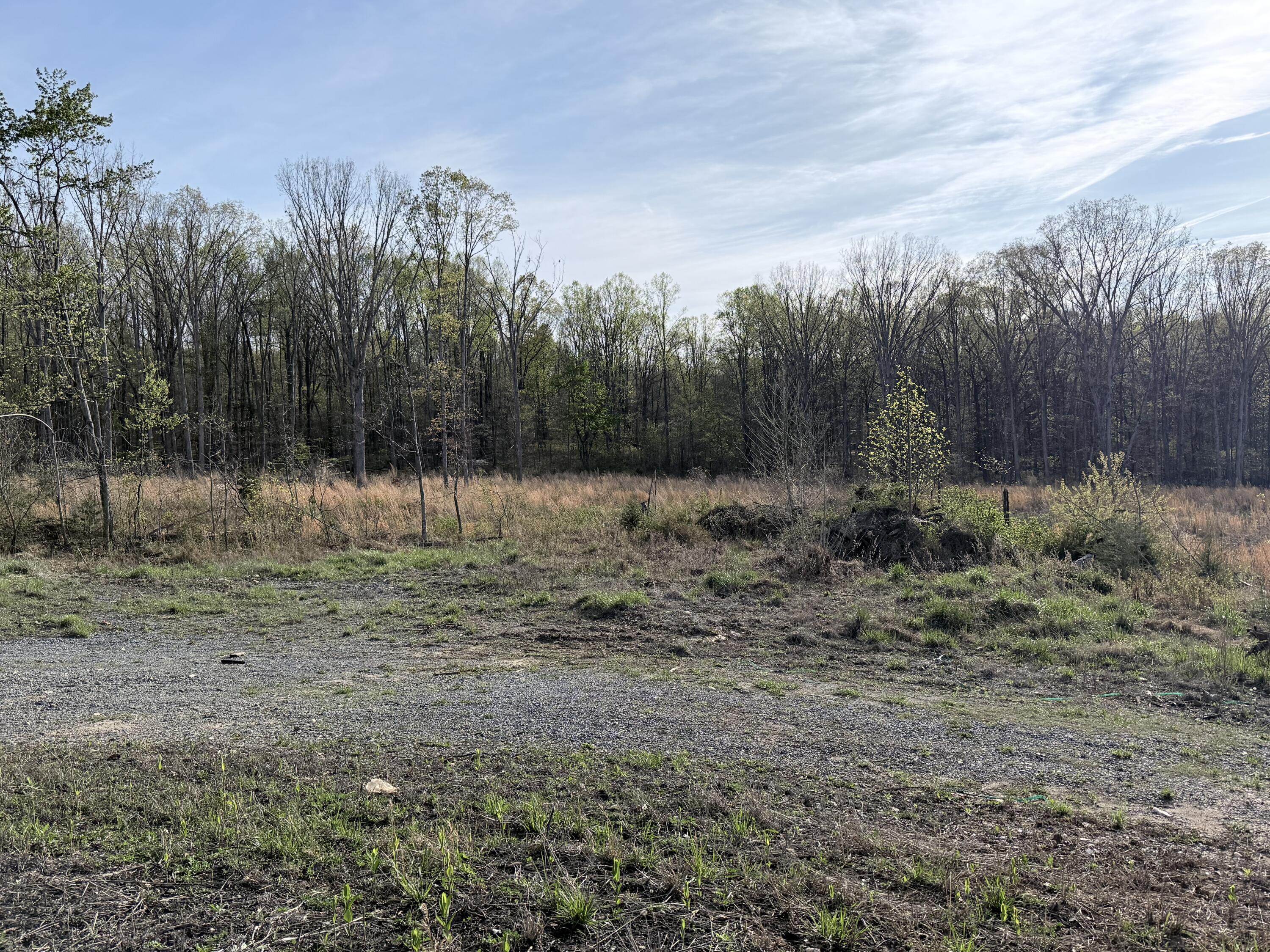 Image 4: IMG_0254