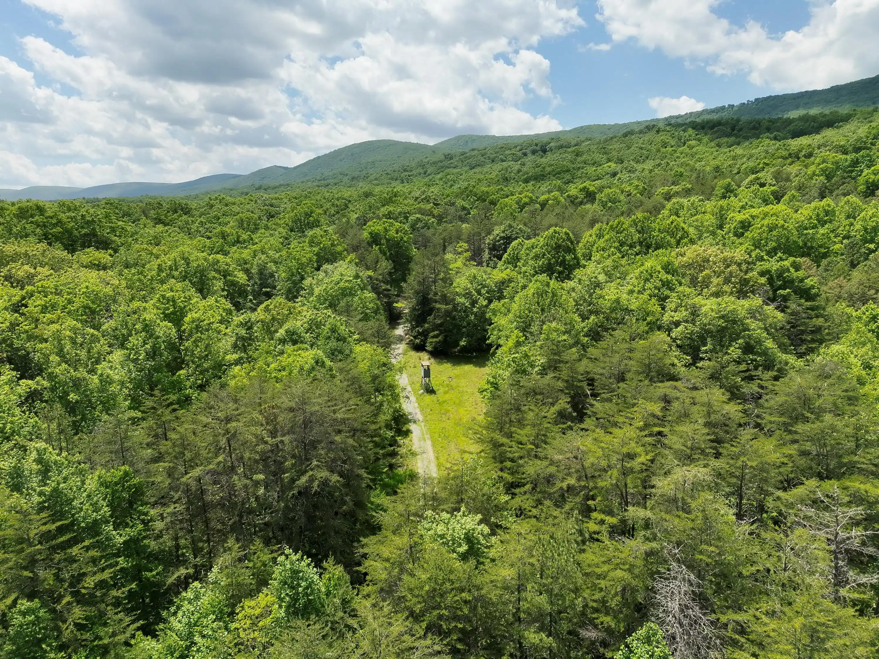 Image 1: DJI_20260528131548_0003_V