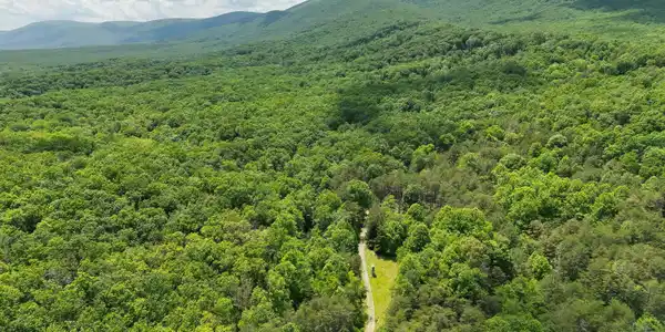 Image 2: DJI_20260528131612_0004_V