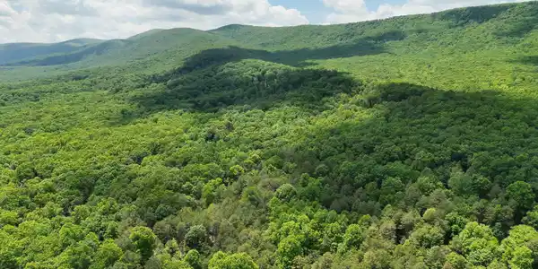 Image 3: DJI_20260528131711_0007_V