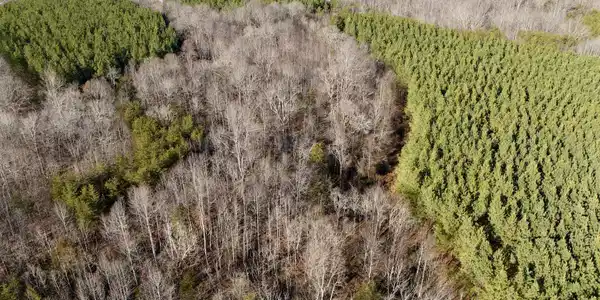 Lot #N/A Dillards Hill RD
